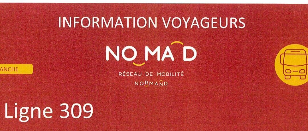 NOMAD – Ligne 309
