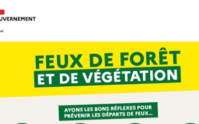 Gestes à adopter en forêt et à proximité