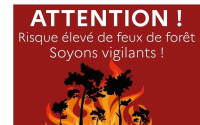 Risque sévère incendie de forêt