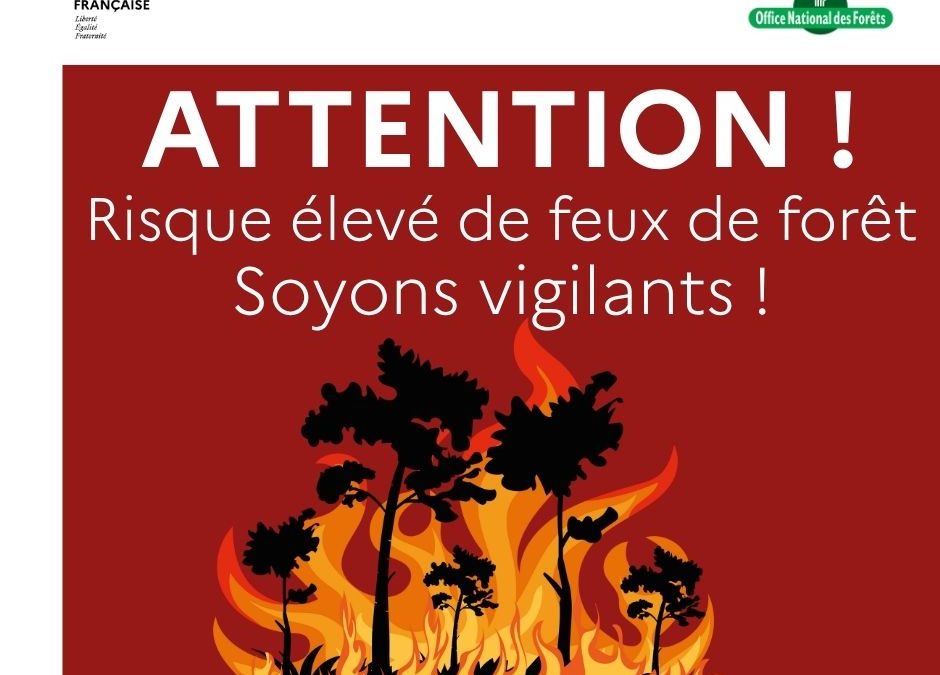 Risque sévère incendie de forêt